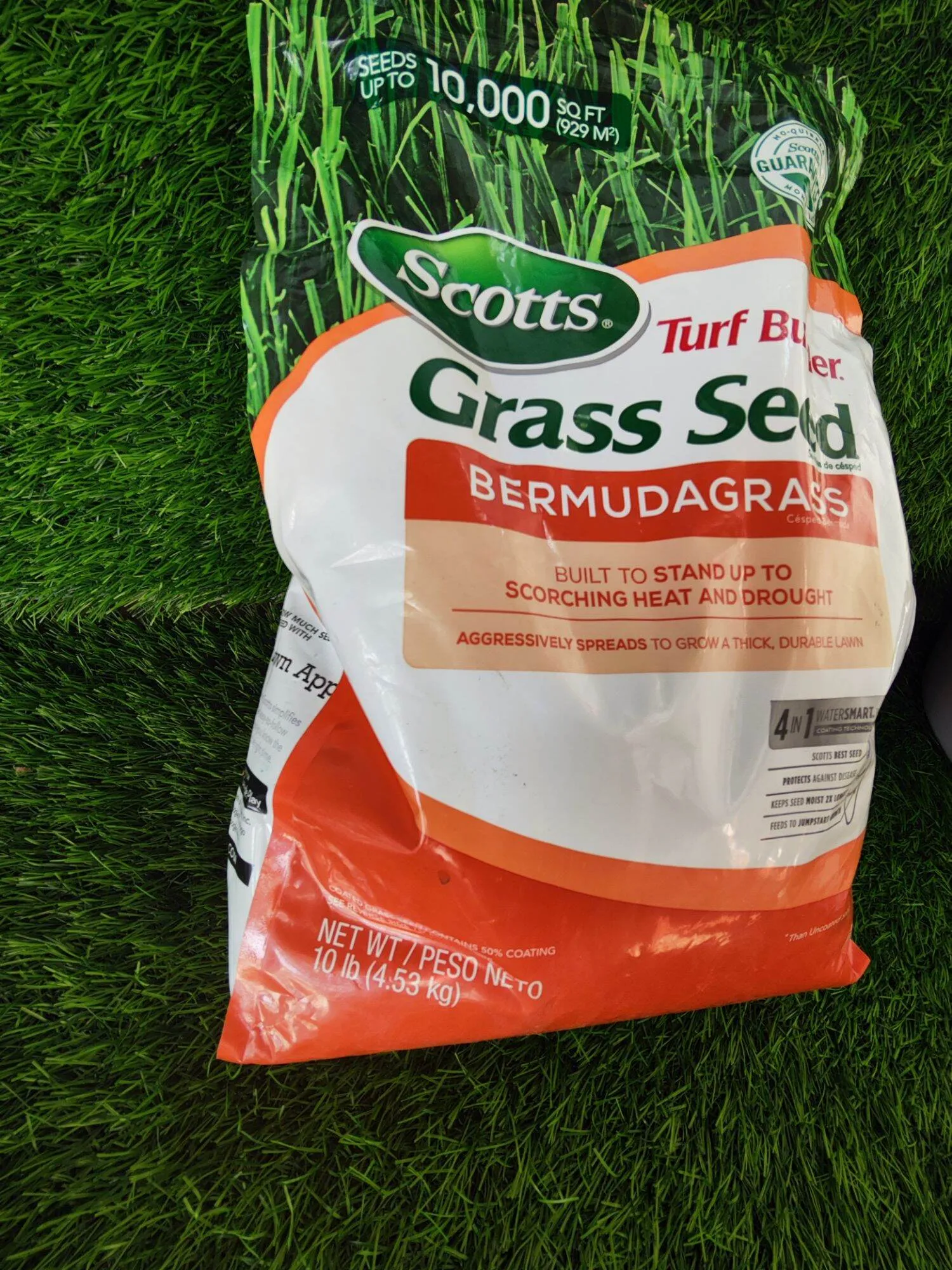 Jual Bibit Rumput Golf
